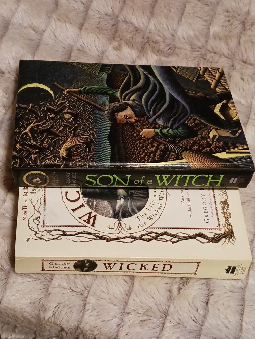 Gregory Maguire's "Wicked", And "Son Of A Witch" Books